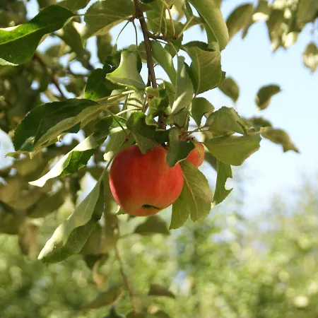 בית נופש Authentic, Quiet With Green Garden Near Bar-le-duc *
